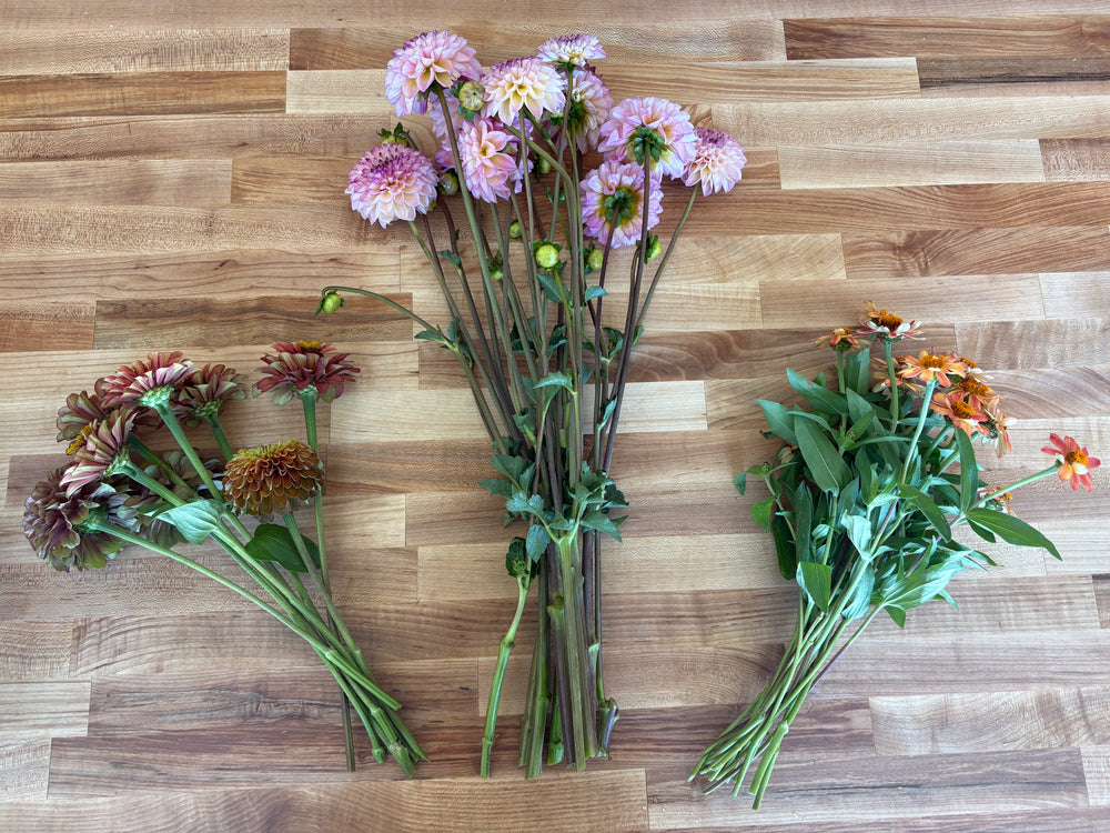 Styling Stems Bundle