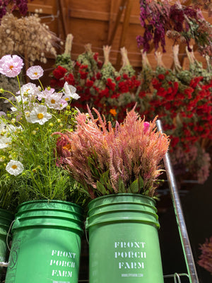 Bulk Bucket