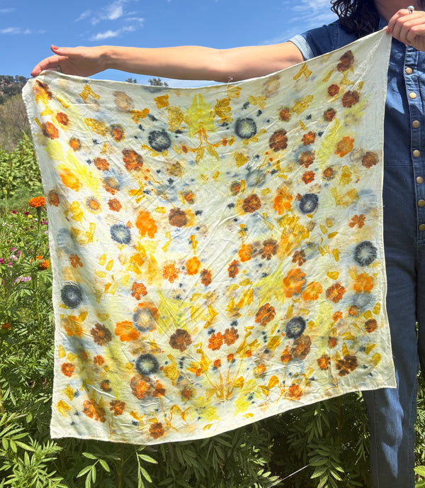 Eco-printing on Silk with Monica Medeiros: Fall
