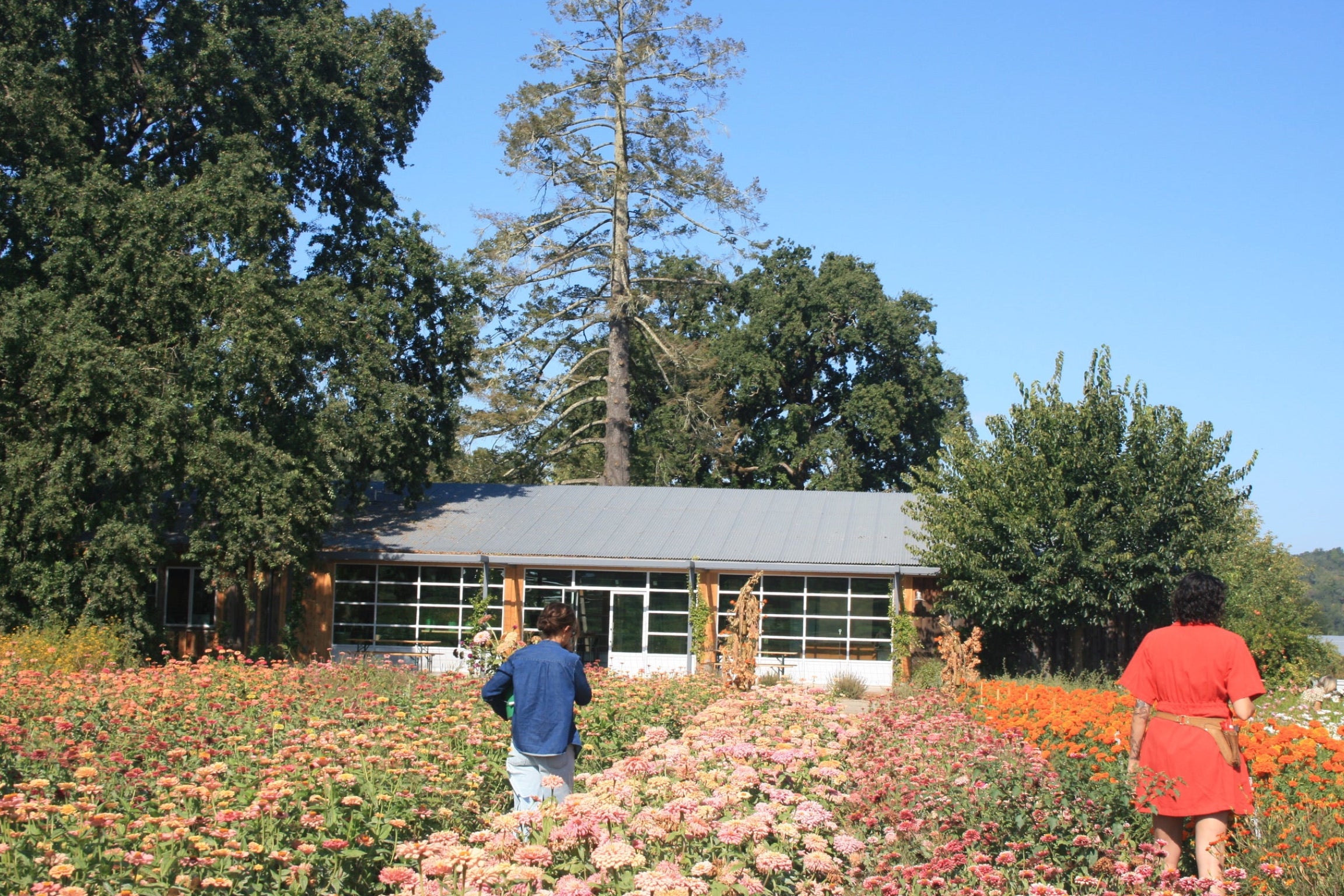 flower porch studio view from the field
