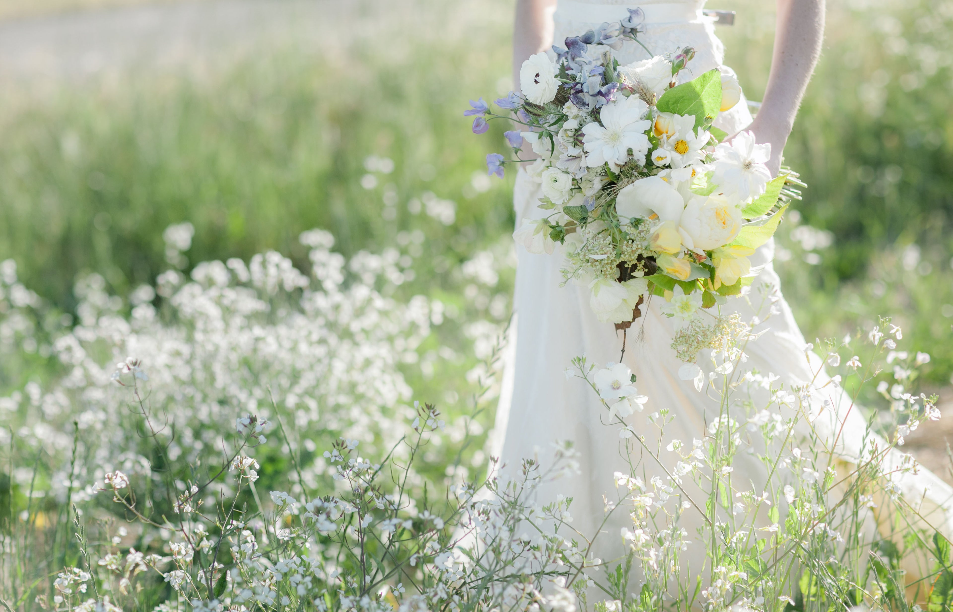 Bride holding a wedding bouquet of flowers in a field at Front Porch Farm Healdsburg CA.